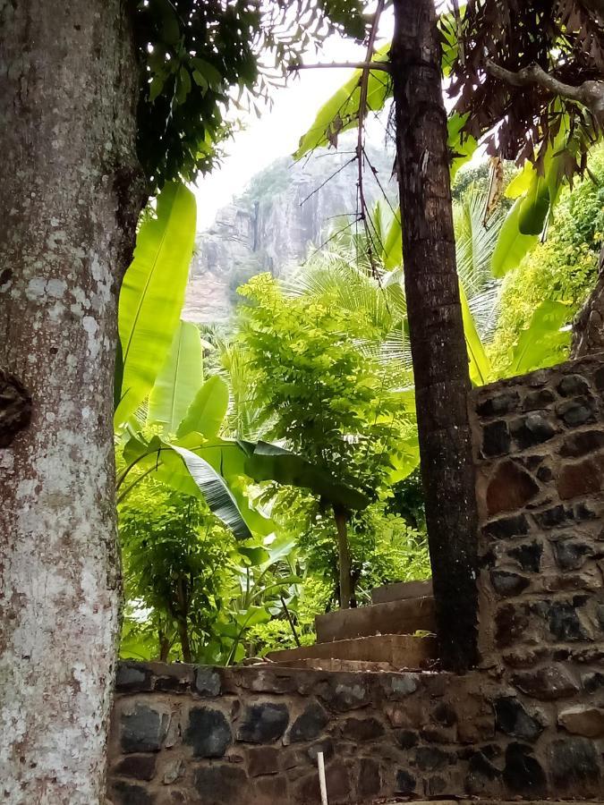 Forest Rawana Homestay Элла Экстерьер фото