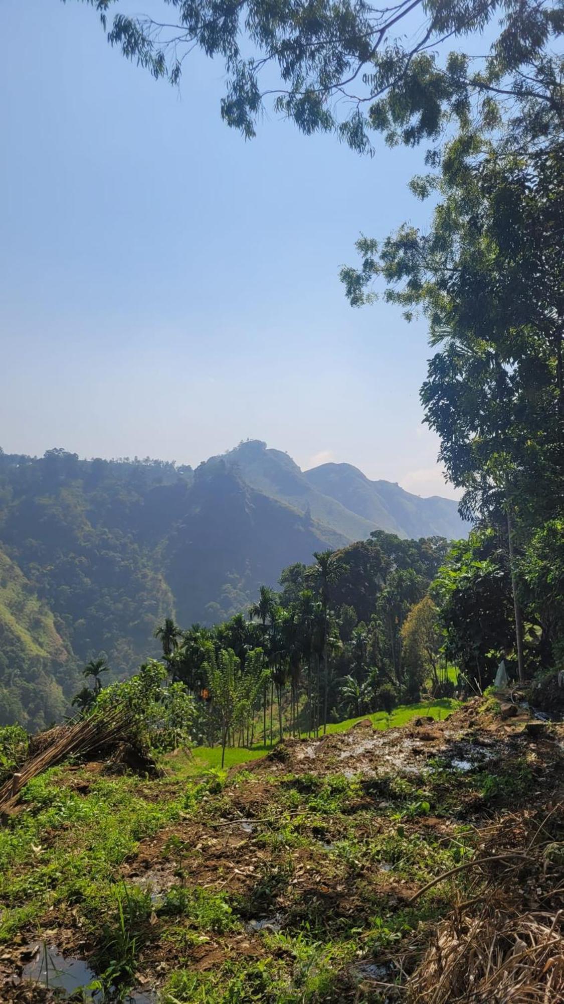 Forest Rawana Homestay Элла Экстерьер фото