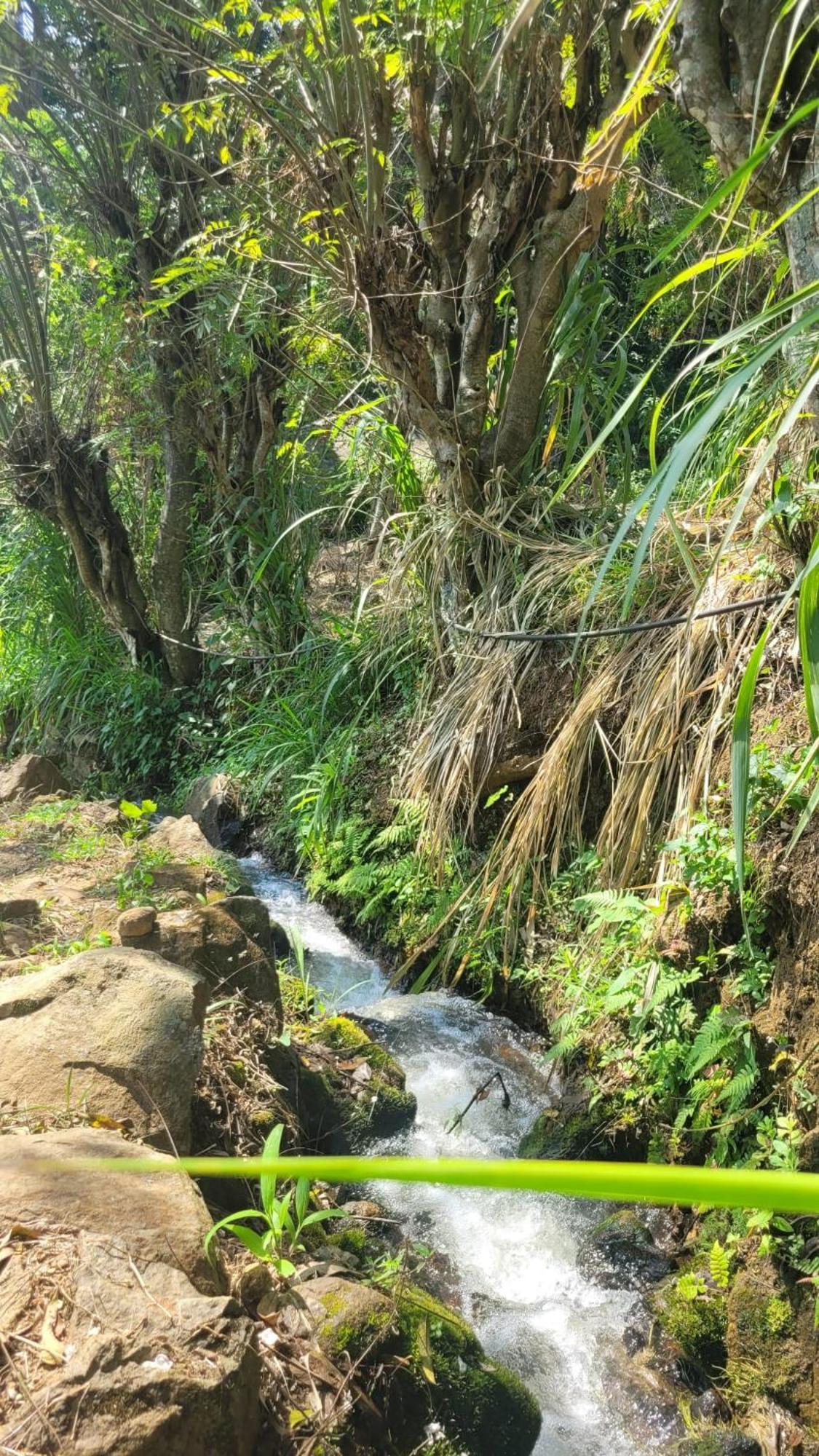 Forest Rawana Homestay Элла Экстерьер фото