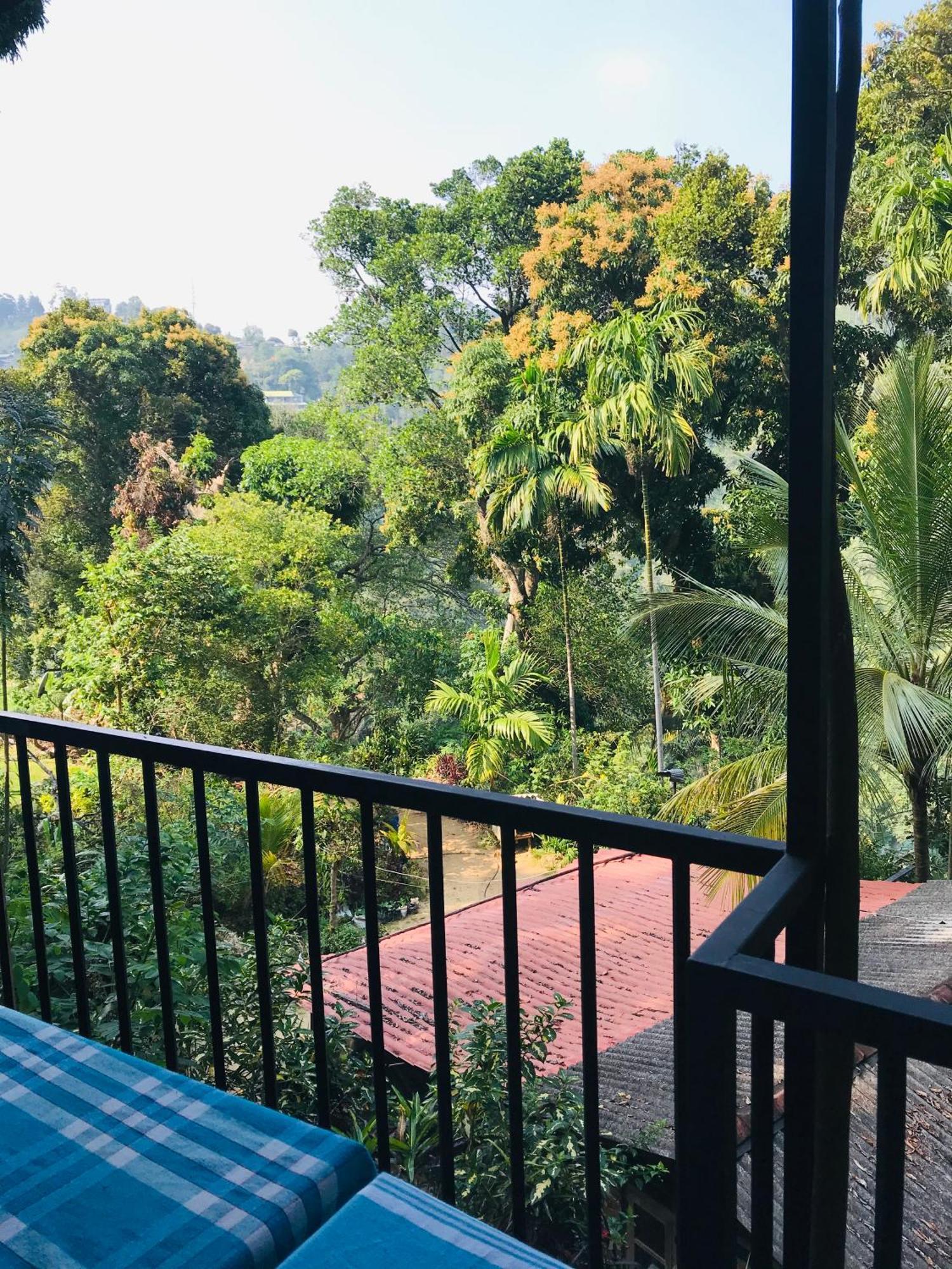 Forest Rawana Homestay Элла Экстерьер фото
