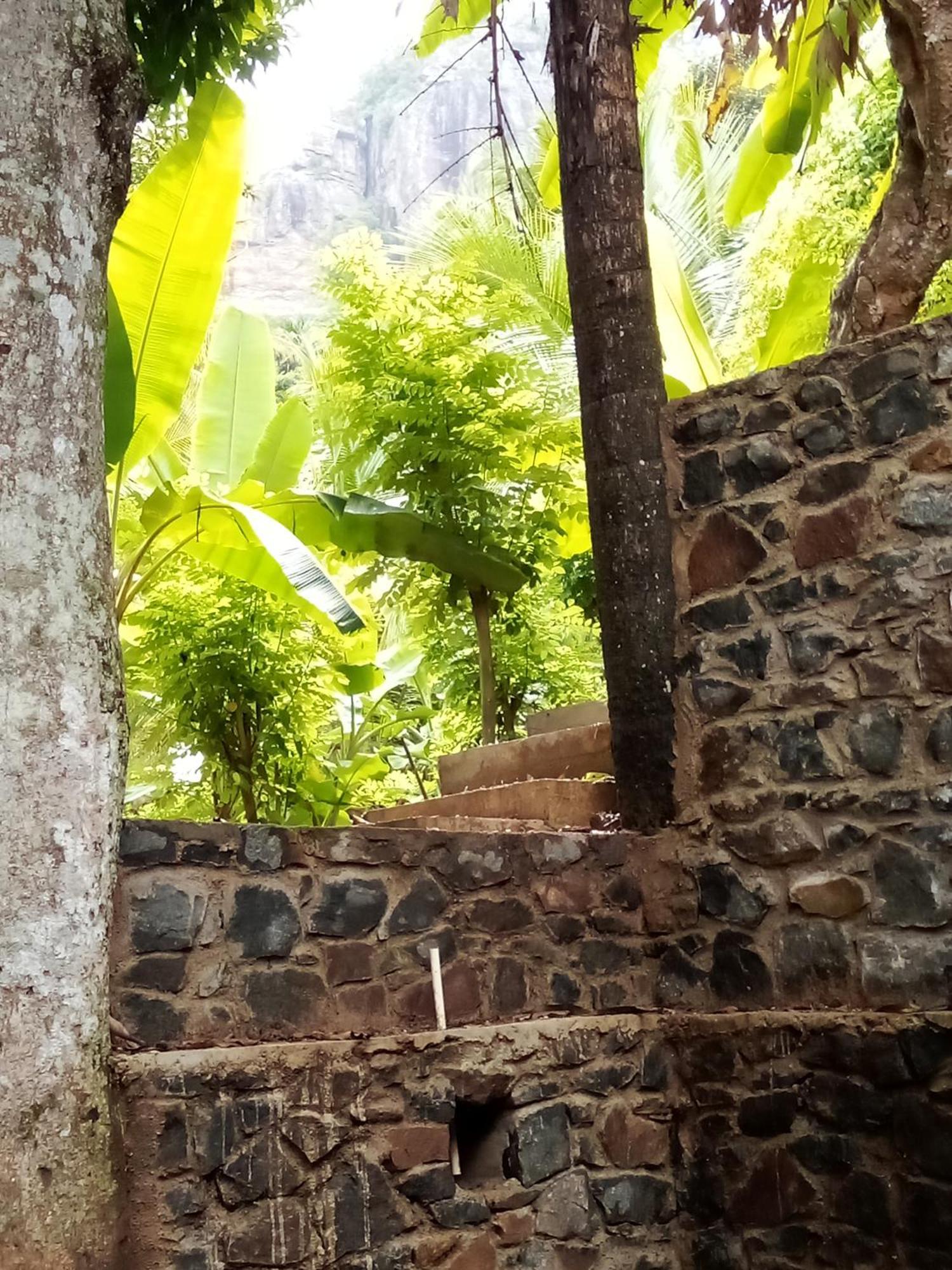 Forest Rawana Homestay Элла Экстерьер фото