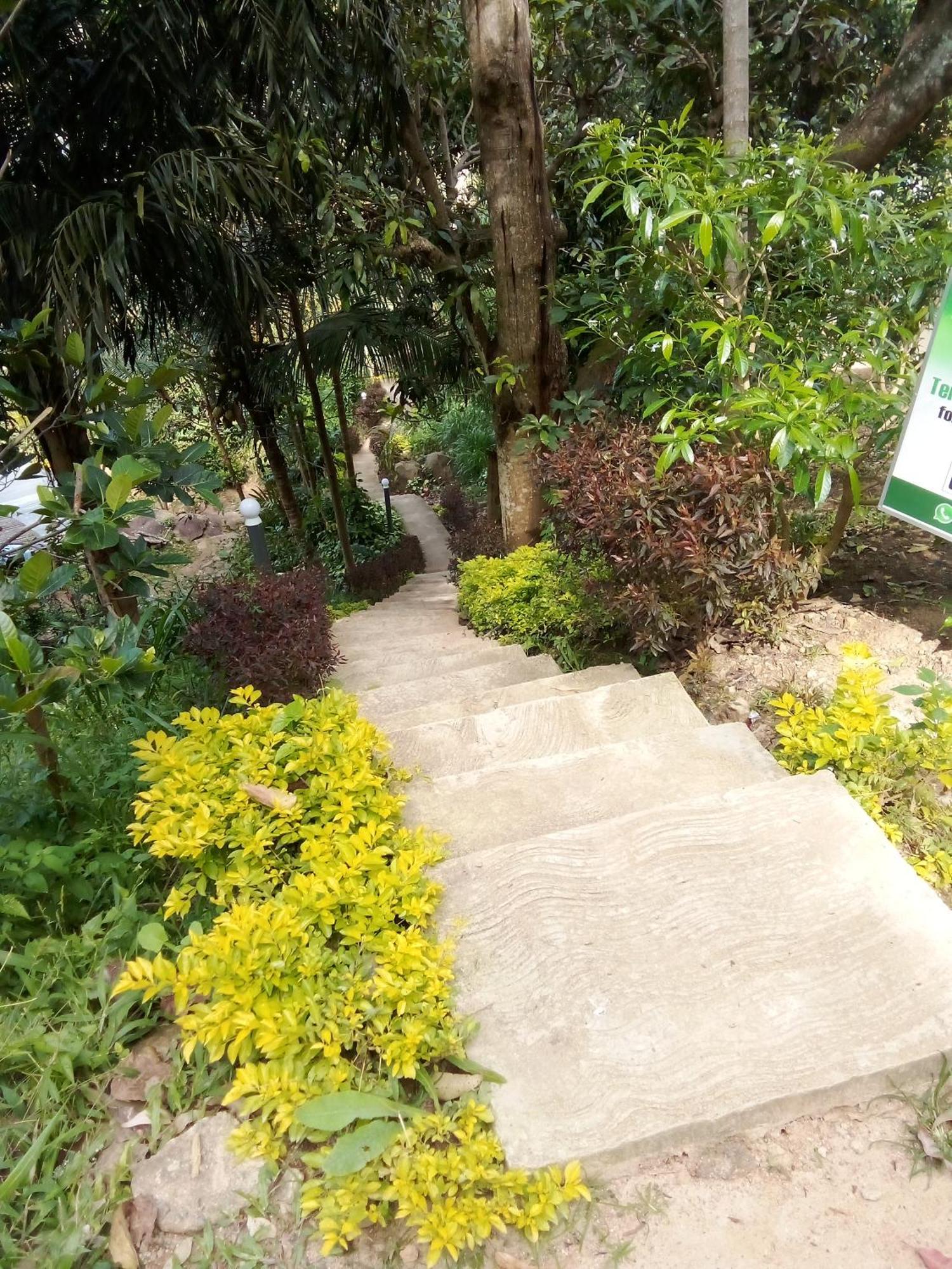 Forest Rawana Homestay Элла Экстерьер фото
