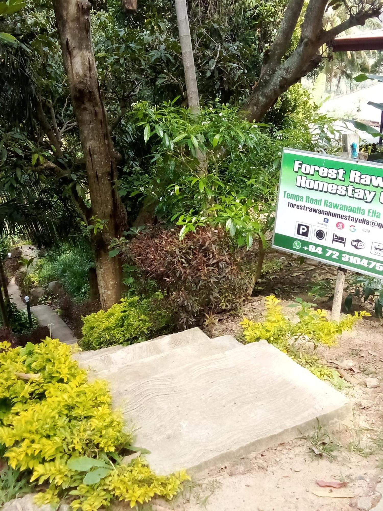 Forest Rawana Homestay Элла Экстерьер фото
